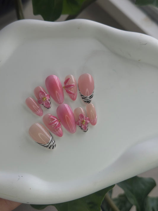 set zèbré