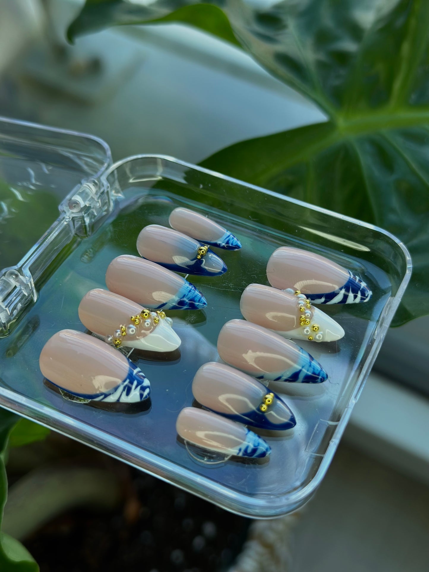 set zèbre bleu
