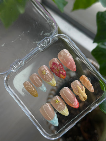 set coquillage